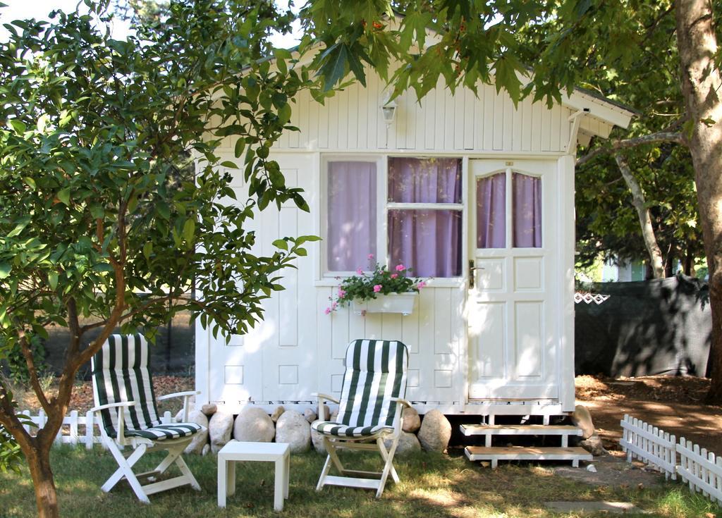 Defne PensionÇıralı 部屋 写真
