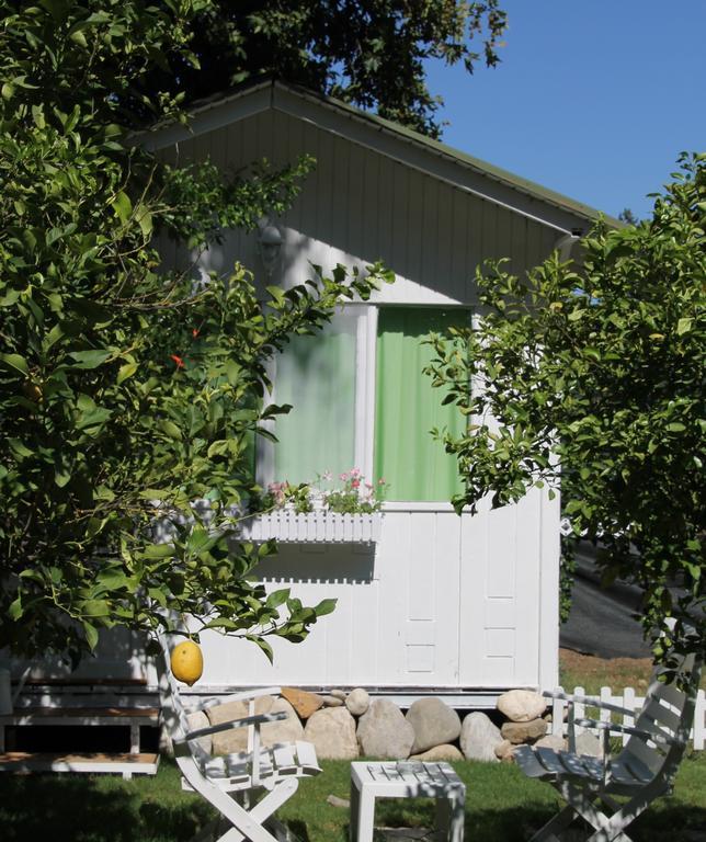 Defne PensionÇıralı 部屋 写真